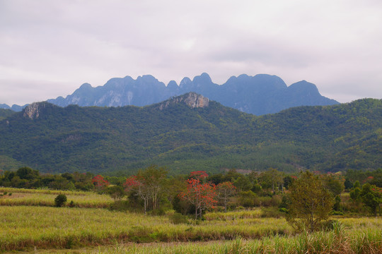 霸王岭风光