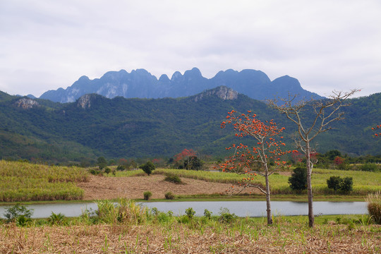 霸王岭风光