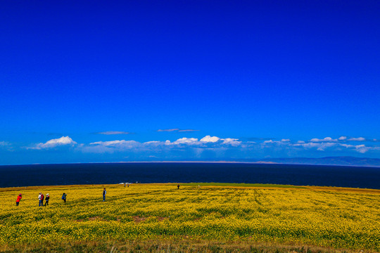 青海湖