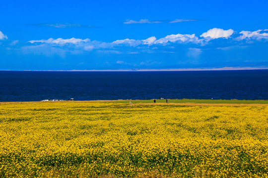 青海湖