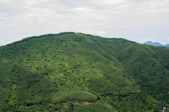 青山群山