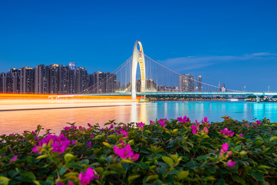 广州猎德大桥夜景