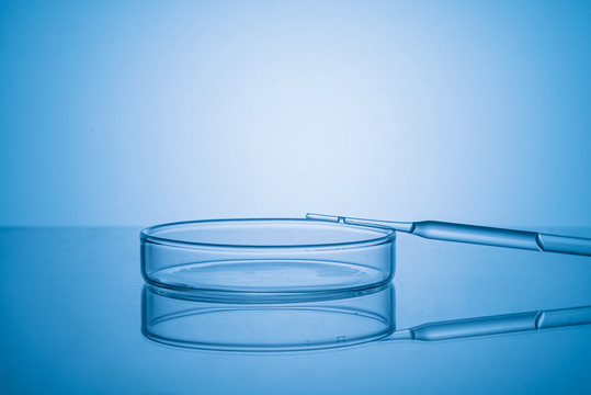 实验室里的玻璃器材培养皿