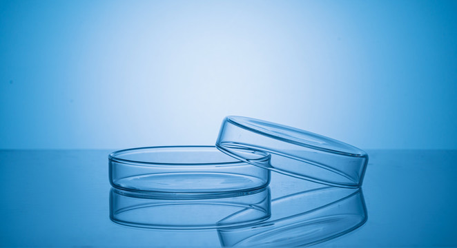 实验室玻璃培养皿