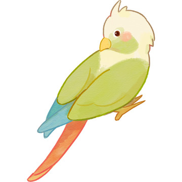 宠物水彩手绘插画绿色鹦鹉