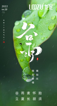 谷雨