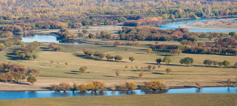 秋季树丛湿地河流根河