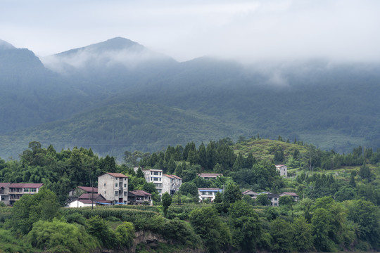 田园风光