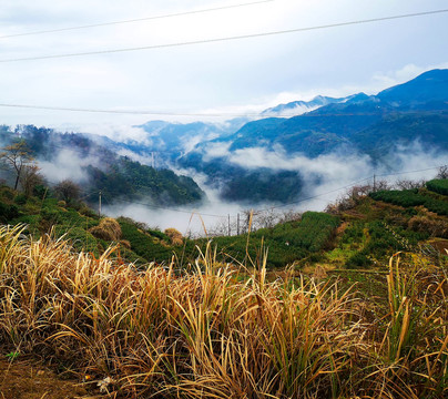 风景