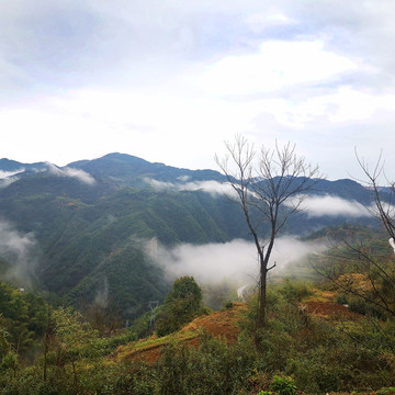 风景荒郊野外