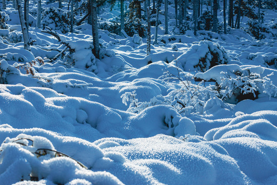 冬季森林积雪雪包