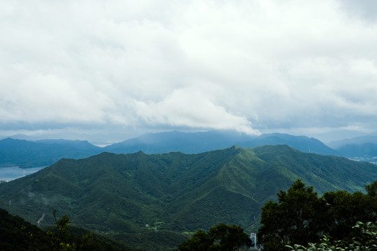 高山云雾