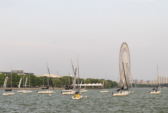 金鸡湖帆船
