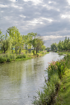 小河风光