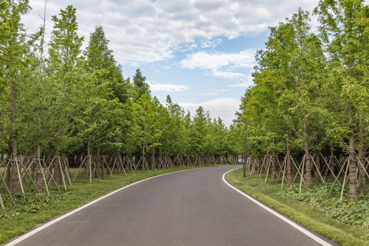 蓝天白云绿树公路