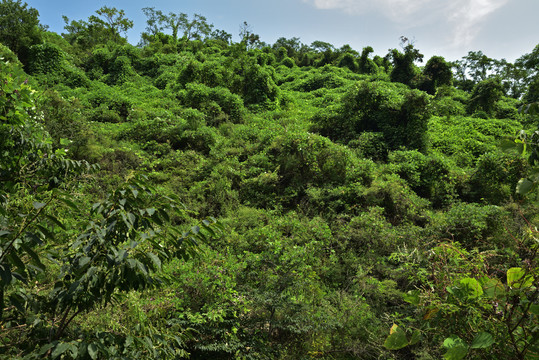 河北石家庄平山县藤龙山风景区