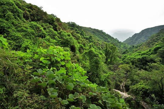 河北石家庄平山县藤龙山景区