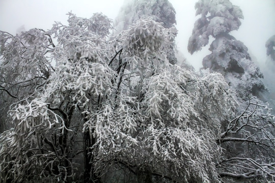 峨眉山雪景