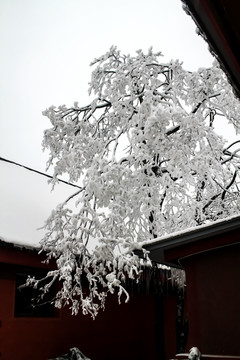 峨眉山雪景