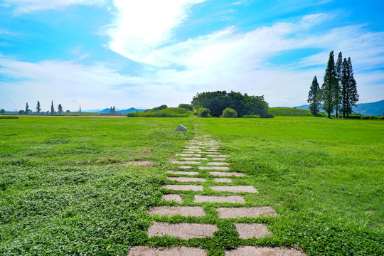 草原风景