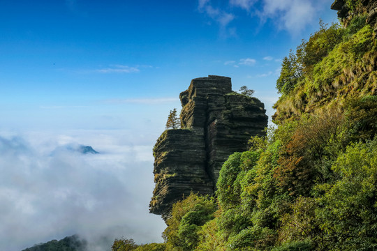 中国贵州铜仁梵净山奇石