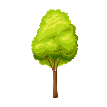 鲜绿茂盛树木手绘插画素材