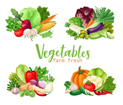 新鲜健康蔬菜堆插画素材