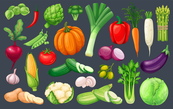 多样新鲜蔬菜插画素材