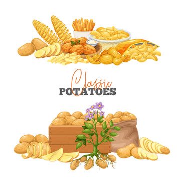 美味薯片和马铃薯食材插画素材