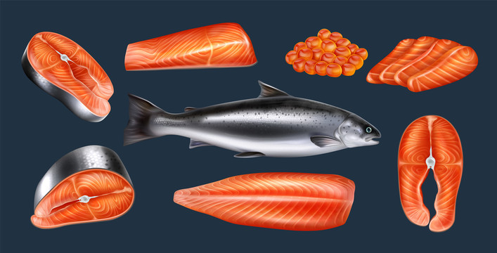 新鲜三文鱼和鱼肉食材插画
