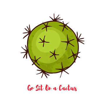 绿色圆球仙人掌插图