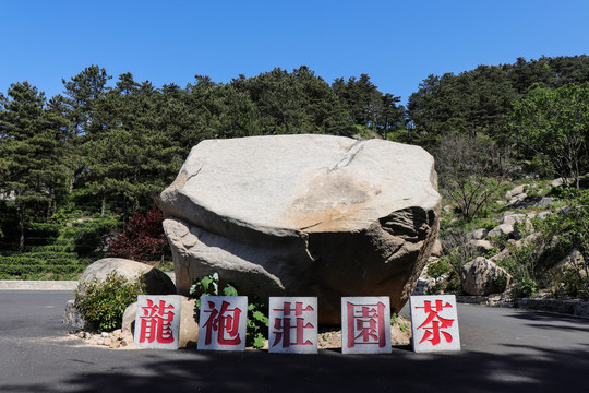 信阳龙袍山山庄龙袍茶庄