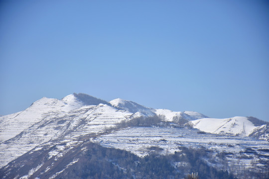 寂山雪霁