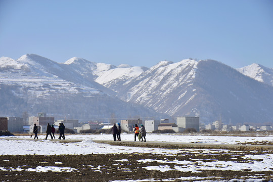 乡村雪霁