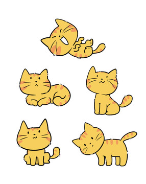 卡通小橘猫