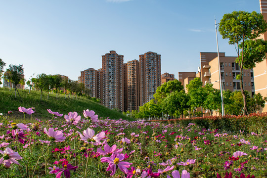 成都理工大学