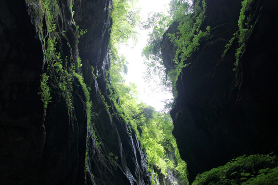 官鹅沟