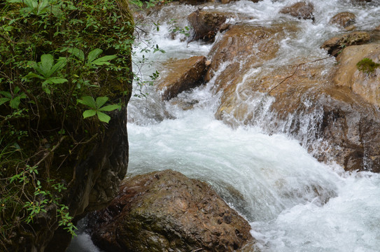 官鹅沟风光