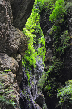 官鹅沟风光