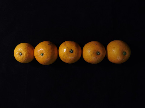 一个柑橘