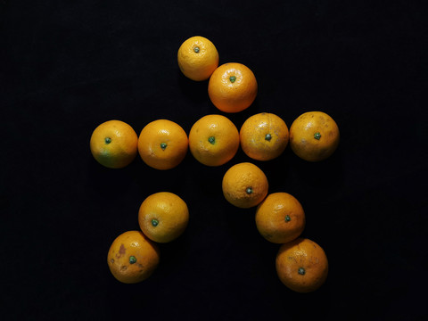 六个柑橘