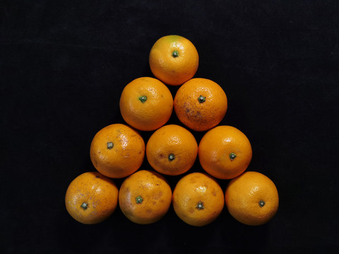 十个柑橘