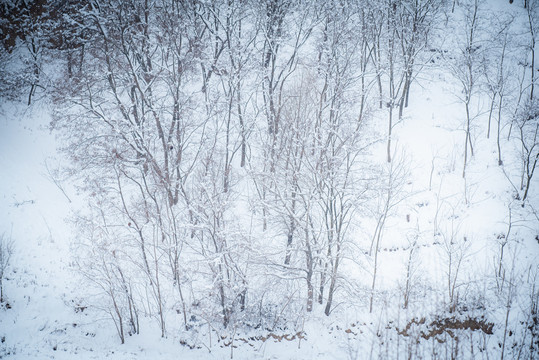 西北乡村雪景