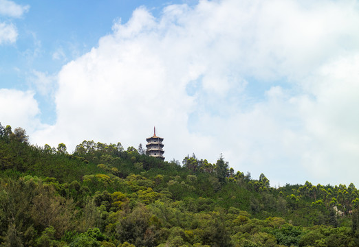 层层山林