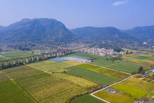 田园风光