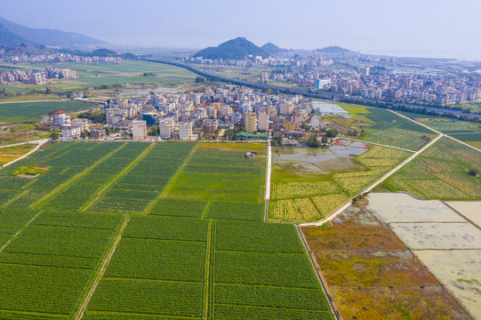 田园风光