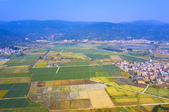 田园风光
