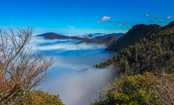 大雾山