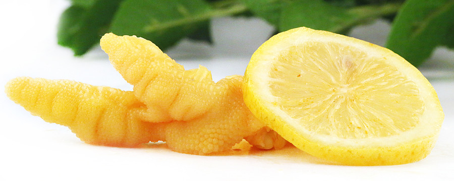 柠檬鸡爪