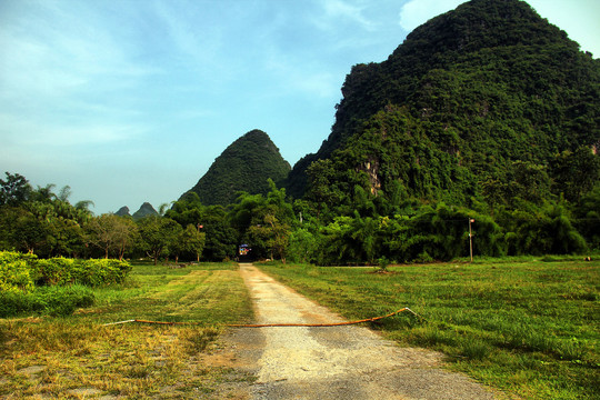 大榕树景区